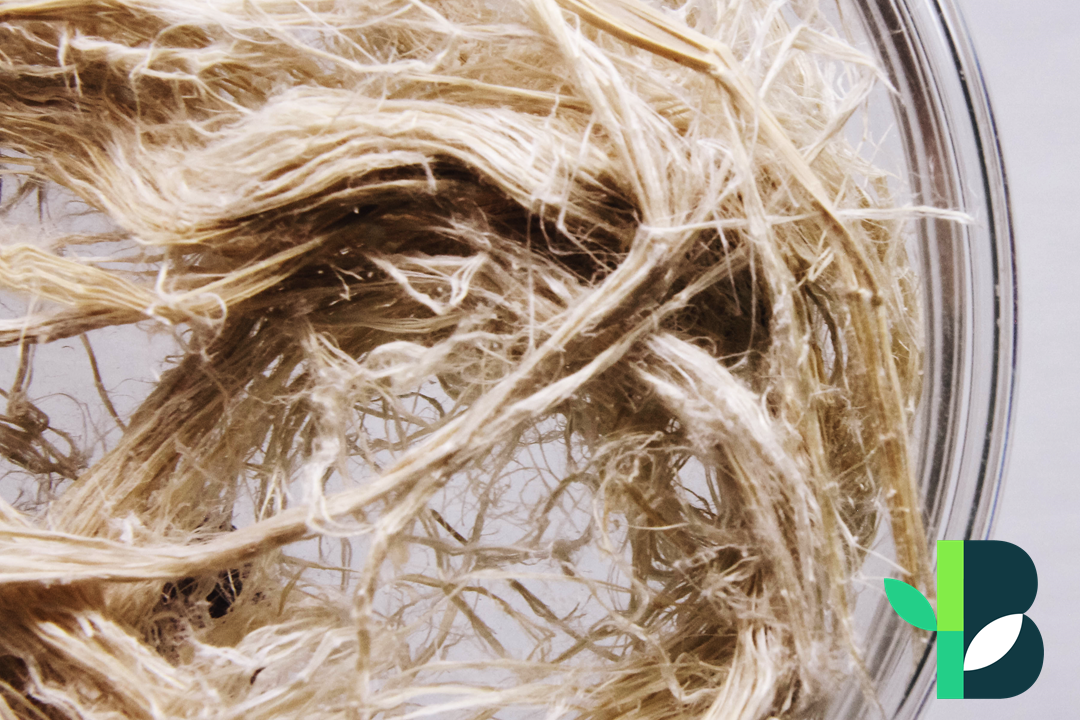 bamboo fiber