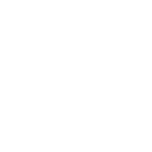 camera-icon