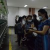 workshop-tour-ptri