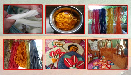 dyeingofindigenous